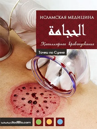 Як виміряти висоту дна матки - rodibio (матки) Як виміряти висоту дна матки - rodibio