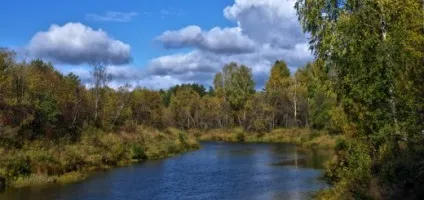Як ми їздили ловити нло, а наловили жменю світлячків - михайло соколів (жменю) Як ми їздили ловити нло, а наловили жменю світлячків - михайло соколів