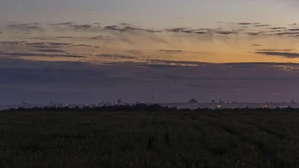 Як ми їздили ловити нло, а наловили жменю світлячків - михайло соколів (їздили) Як ми їздили ловити нло, а наловили жменю світлячків - михайло соколів