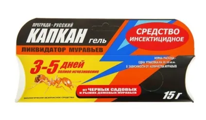 Як позбутися від мурашок в будинку і квартирі назавжди, вивести (мурах) Як позбутися від мурашок в будинку і квартирі назавжди, вивести