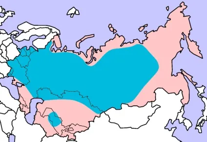 Як ловити язя - місця проживання повне керівництво для рибалок (керівництво) Як ловити язя - місця проживання повне керівництво для рибалок