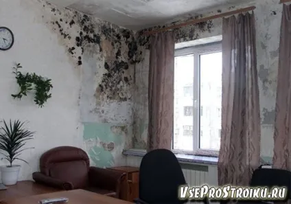 Як позбутися від вологості і вогкості в квартирі
