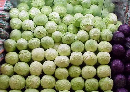 Як позбутися від гусениць на капусті ефективні способи