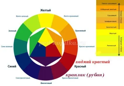 Як намалювати ведмедика Умку поетапно (ведмедика) Як намалювати ведмедика Умку поетапно
