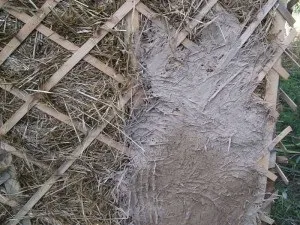 Як обмазати будинок глиною, арболит (глиною) Як обмазати будинок глиною, арболит