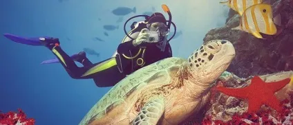 Яке море в Анталії (Туреччина) (море) Яке море в Анталії (Туреччина)