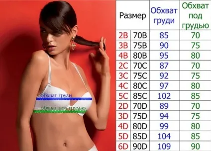 Як визначити розмір і модель бюстгальтера для правильного вибору (вибір) Як визначити розмір і модель бюстгальтера для правильного вибору