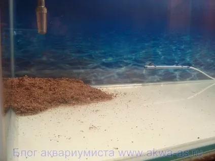 Як підготувати грунт для акваріума, блог акваріума