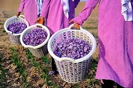 Як приготувати і подати спагетті правила