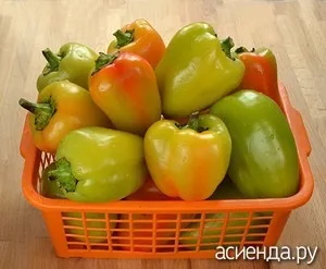 Як правильно зберігати солодкий перець (зберігання перців) Як правильно зберігати солодкий перець