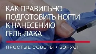 Як правильно писати шілак або шелак (шелак) Як правильно писати шілак або шелак