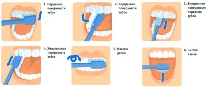 Як правильно чистити зуби