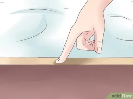 Як запобігти появі клопів (запобігти) Як запобігти появі клопів