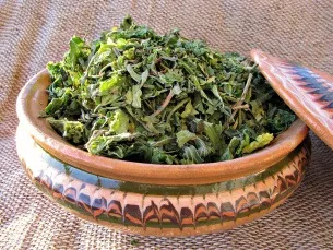 Як приймати ехінацею