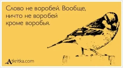 Як працюють панчлайни