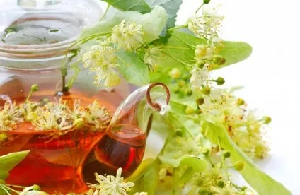 Як приймати липу для схуднення рецепти чаю, відвару, настою