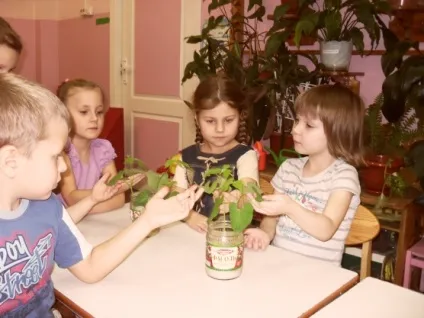 Як росте все живе