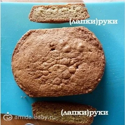 Торт «ведмедик» майстер-клас, мітки вид, ведмідь, як, зробити, домашній (зробити) Торт «ведмедик» майстер-клас, мітки вид, ведмідь, як, зробити, домашній
