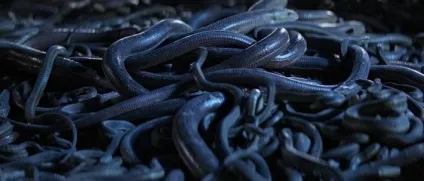Як знімали трилогію про Індіану Джонса ( «Індіана Джонс пошуках) Як знімали трилогію про Індіану Джонса