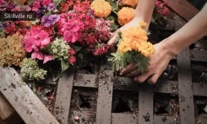 Як зробити «зелену стіну» своїми руками (сад будинку) Як зробити «зелену стіну» своїми руками