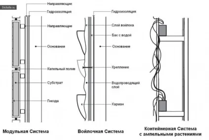 Як зробити «зелену стіну» своїми руками (вертикальне озеленення будинку) Як зробити «зелену стіну» своїми руками