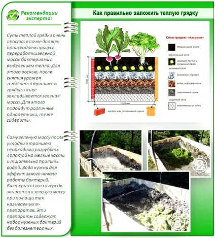 Як зробити опалення теплиці своїми руками (руками) Як зробити опалення теплиці своїми руками