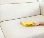 Як врятувати смородину