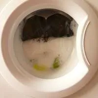 Як прати парку в домашніх умовах (як прати парку) Як прати парку в домашніх умовах