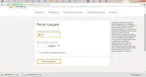 Як створити qiwi гаманець і як ним користуватися (створити) Як створити qiwi гаманець і як ним користуватися