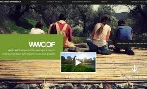 Як стати волонтером за кордоном, educational tourism (волонтером) Як стати волонтером за кордоном, educational tourism