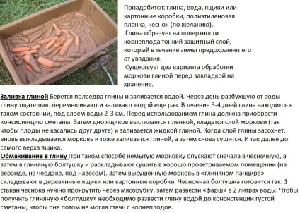 Як зберегти моркву в домашніх умовах на зиму - покрокова інструкція, ферма своїми руками (зиму) Як зберегти моркву в домашніх умовах на зиму - покрокова інструкція, ферма своїми руками