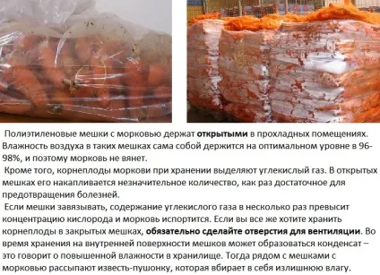 Як зберегти моркву в домашніх умовах на зиму - покрокова інструкція, ферма своїми руками (домашніх) Як зберегти моркву в домашніх умовах на зиму - покрокова інструкція, ферма своїми руками