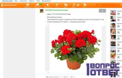 Як видалити сторінку в однокласниках видалення назавжди, інструкція з видалення профілю в соц мережі