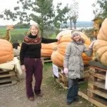Як я виростила гарбуз сорту титан у саду чи, в моєму городі (виростила) Як я виростила гарбуз сорту титан у саду чи, в моєму городі