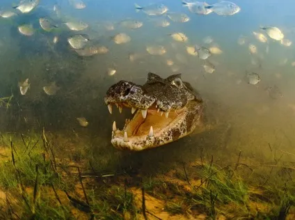 Як в подорож фотографувати правильно, рюкзак мандрівника (як фотографувати) Як в подорож фотографувати правильно, рюкзак мандрівника