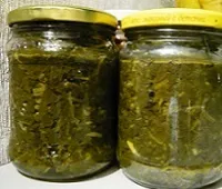 Як заготовити щавель на зиму, здоров'я і краса сучасної жінки (заготовити) Як заготовити щавель на зиму, здоров'я і краса сучасної жінки