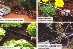 Крапельний полив зроби сам своїми руками (полив) Крапельний полив зроби сам своїми руками