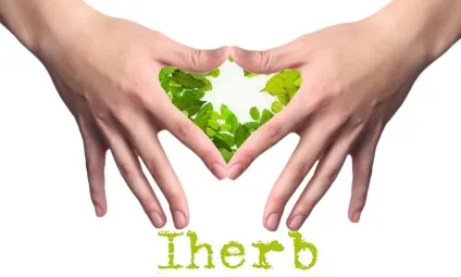 Як замовити з iherb вигідно і заробити на покупках (макуха після видалення) Як замовити з iherb вигідно і заробити на покупках
