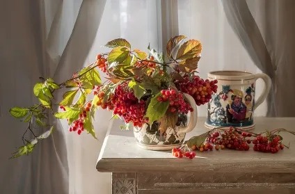 Калина, калина-ягода пізня (пізня) Калина, калина-ягода пізня