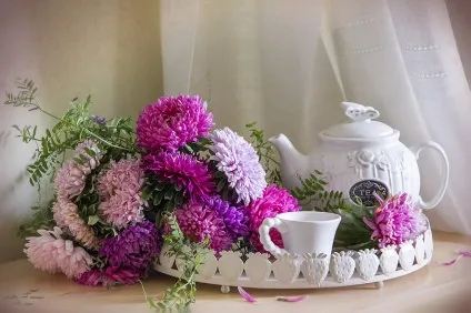 Калина, калина-ягода пізня (калина) Калина, калина-ягода пізня