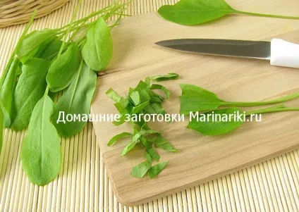 Як засушити щавель на зиму (зиму) Як засушити щавель на зиму