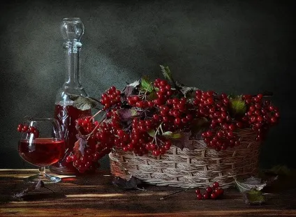 Калина, калина-ягода пізня (калина) Калина, калина-ягода пізня