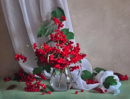 Калина, калина-ягода пізня (пізня) Калина, калина-ягода пізня