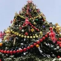 До чого сниться ялинка новорічна вбрана (сниться) До чого сниться ялинка новорічна вбрана