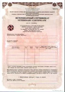 Кінологічний клуб - вірність - документи для поїздки з собакою (поїздки) Кінологічний клуб - вірність - документи для поїздки з собакою