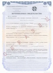 Кінологічний клуб - вірність - документи для поїздки з собакою (собакою) Кінологічний клуб - вірність - документи для поїздки з собакою