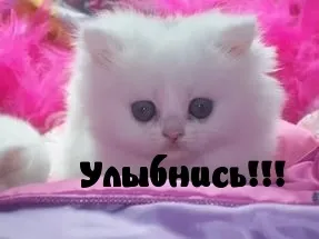 Картинки з написами побажання (388 шт (картинки з написами побажання) Картинки з написами побажання (388 шт