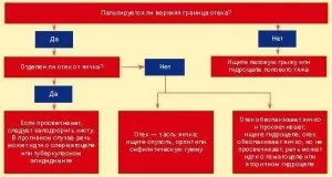Кіста яєчка у чоловіків (сперматоцеле) симптоми, лікування і наслідки