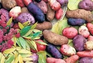 Картоплю уві сні купувати тлумачення (купувати) Картоплю уві сні купувати тлумачення