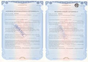 Кінологічний клуб - вірність - документи для поїздки з собакою (виставках спортивних заходів) Кінологічний клуб - вірність - документи для поїздки з собакою